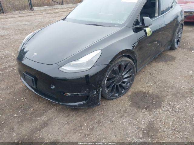 2023 TESLA MODEL Y 7SAYGDEF6PF784878 Photo 5