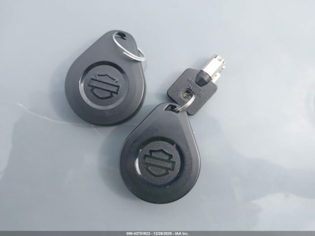 2017 HARLEY-DAVIDSON FLTRXS 1HD1KTC14HB688717 Photo 10