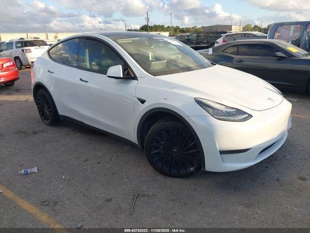 2020 TESLA MODEL Y 5YJYGDEE8LF006810 Photo 0