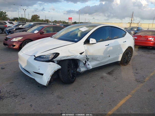 2020 TESLA MODEL Y 5YJYGDEE8LF006810 Photo 1