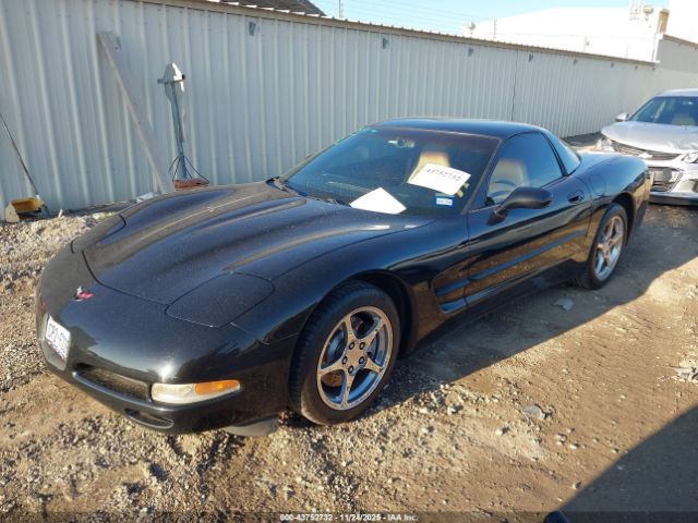 2004 CHEVROLET CORVETTE 1G1YY22G645120159 Photo 1