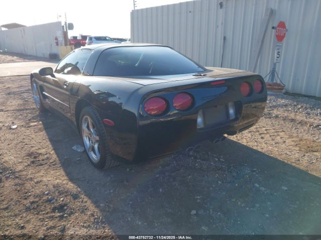 2004 CHEVROLET CORVETTE 1G1YY22G645120159 Photo 2
