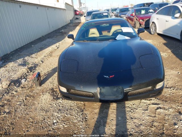 2004 CHEVROLET CORVETTE 1G1YY22G645120159 Photo 5