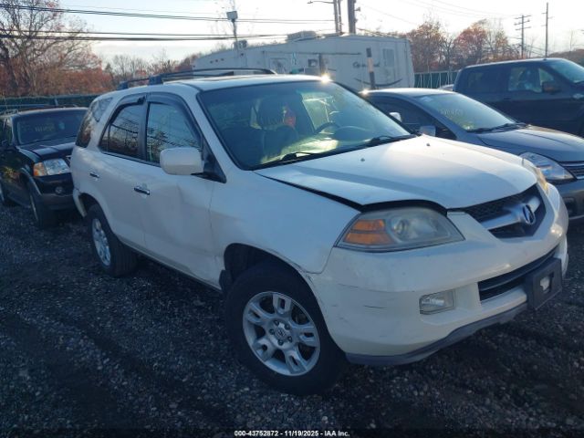 2006 ACURA MDX 2HNYD18806H544357