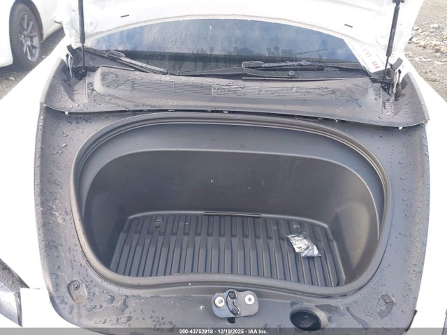 2025 TESLA MODEL 3 5YJ3E1EA0SF882233 Photo 9