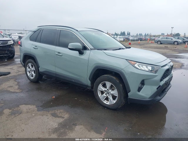 Toyota Rav4 Xle 2019 JTMP1RFV7KD030059 главное изображение