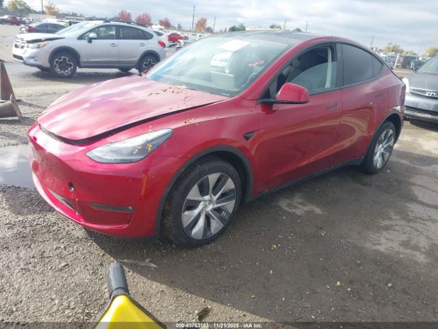 2024 TESLA MODEL Y 7SAYGDEE6RF989045 Photo 1