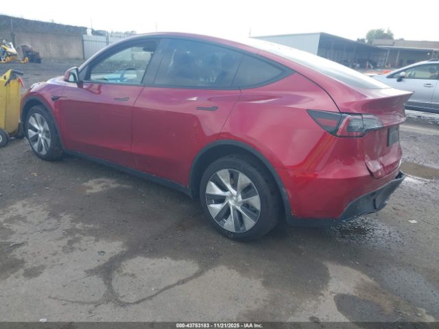 2024 TESLA MODEL Y 7SAYGDEE6RF989045 Photo 2
