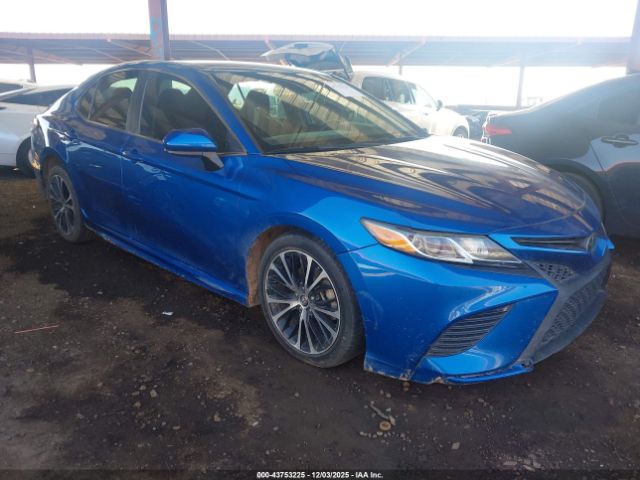 2019 TOYOTA CAMRY 4T1B11HK7KU281559