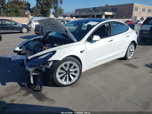 2023 TESLA MODEL 3 5YJ3E1EAXPF562683 Photo 1