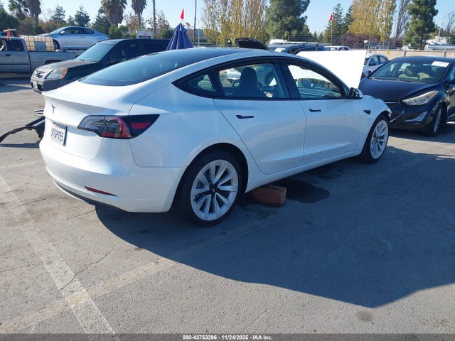 2023 TESLA MODEL 3 5YJ3E1EAXPF562683 Photo 3