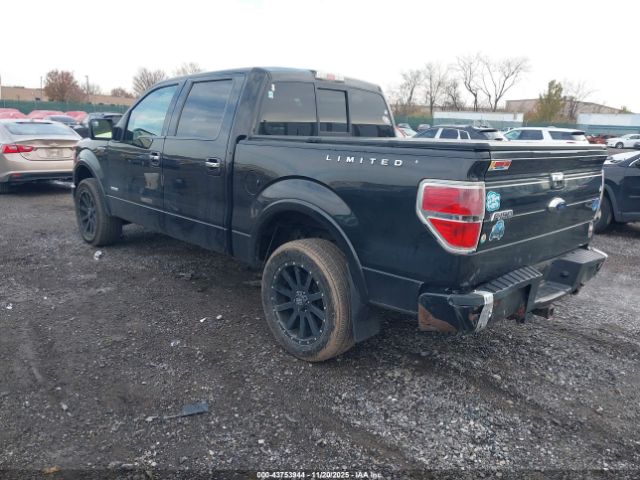 2013 FORD F-150 1FTFW1ET5DFB89684 Photo 2