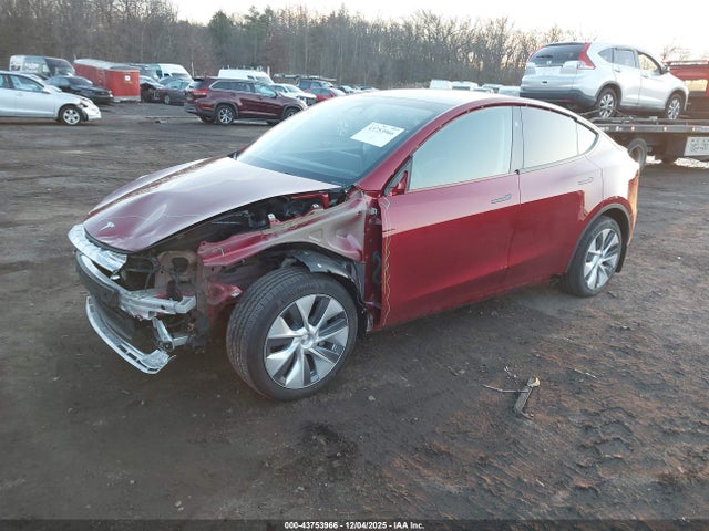 2024 TESLA MODEL Y 7SAYGDED1RF093274 Photo 1