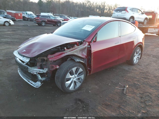 2024 TESLA MODEL Y 7SAYGDED1RF093274 Photo 5