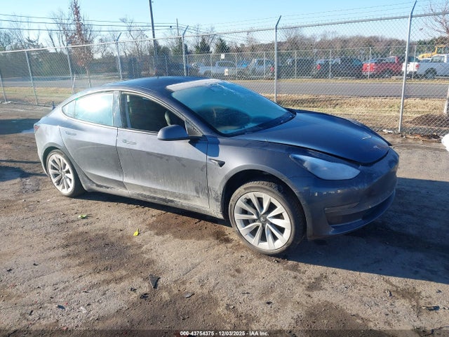 2021 TESLA MODEL 3 5YJ3E1EB7MF015293 Photo 0