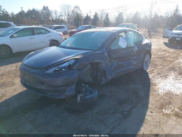 2021 TESLA MODEL 3 5YJ3E1EB7MF015293 Photo 1