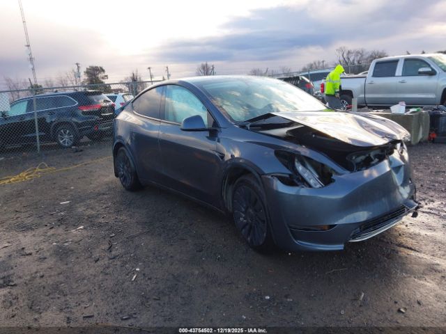 2021 TESLA MODEL Y 5YJYGAEE9MF197606