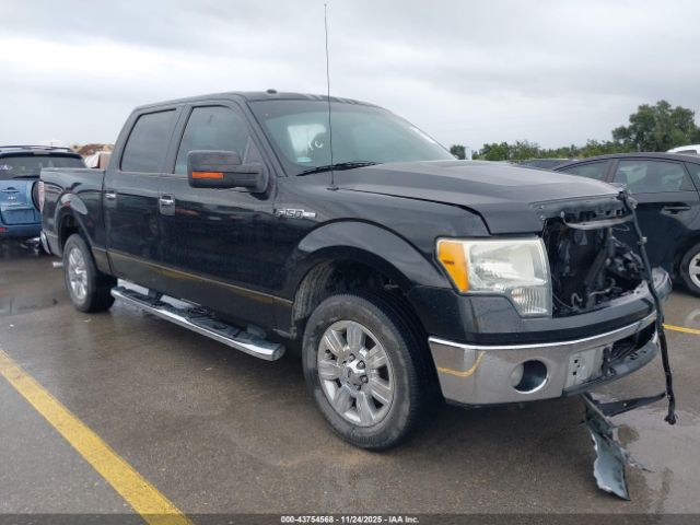 2010 FORD F-150 1FTEW1C87AKE54456