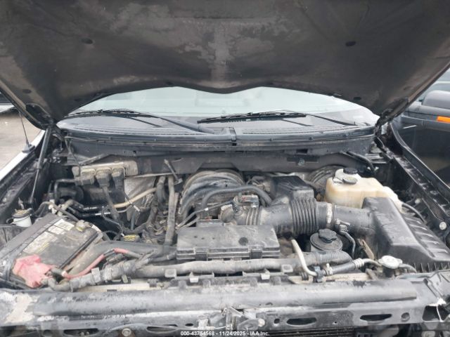 2010 FORD F-150 1FTEW1C87AKE54456 Photo 9