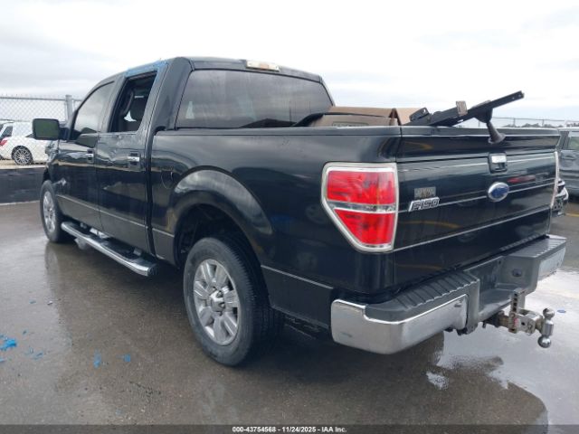 2010 FORD F-150 1FTEW1C87AKE54456 Photo 2