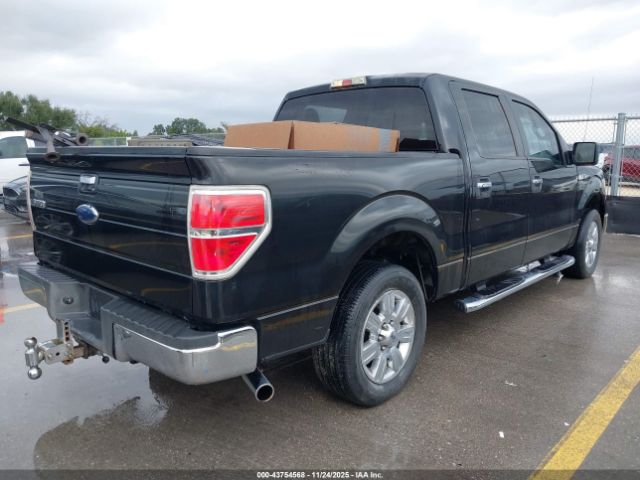 2010 FORD F-150 1FTEW1C87AKE54456 Photo 3