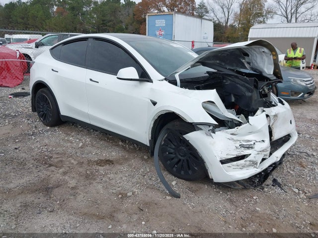 2023 TESLA MODEL Y 7SAYGDEE9PA063295 Photo 0
