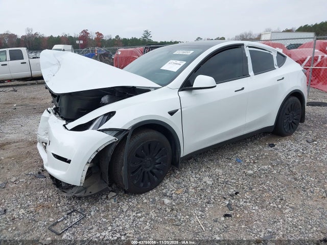 2023 TESLA MODEL Y 7SAYGDEE9PA063295 Photo 1