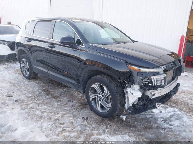 Aukcja sprzedaży 2023 Hyundai Santa Fe Se, vin: 5NMS1DAJ6PH630510, numer aukcji: 43755188