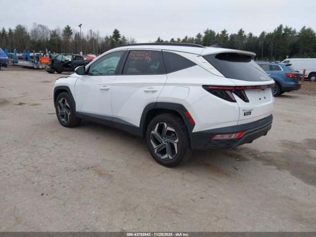 2024 HYUNDAI TUCSON HYBRID KM8JCCD15RU220221 Photo 2