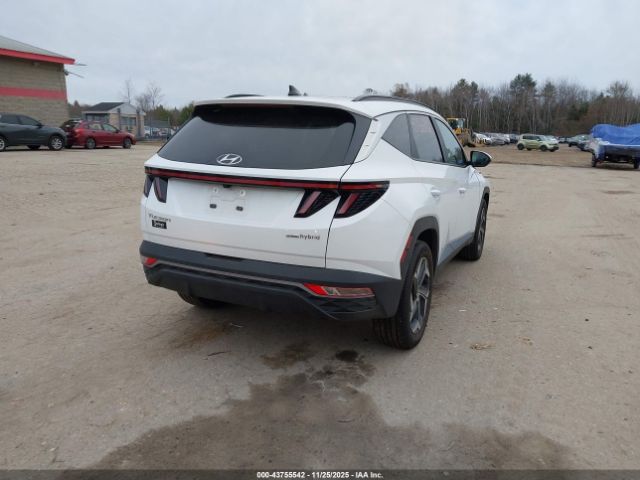 2024 HYUNDAI TUCSON HYBRID KM8JCCD15RU220221 Photo 3