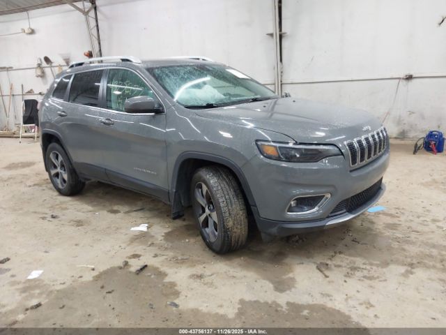 2019 JEEP CHEROKEE 1C4PJMDX5KD342534