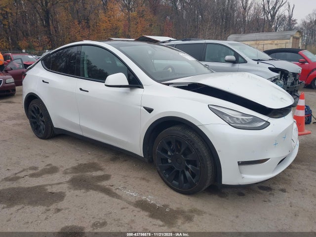 2022 TESLA MODEL Y 7SAYGDEE0NF356762 Photo 0