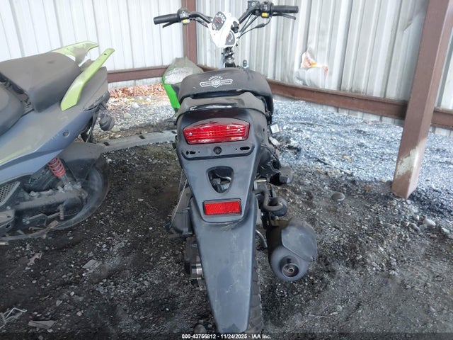 Продажа на аукционе авто 2024 Genuine Scooter Co. Roughhouse 50, vin: RFVPMP207R1025791, номер лота: 43756812