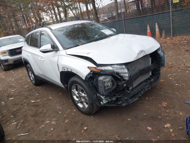 2023 HYUNDAI TUCSON 5NMJBCAE3PH263071