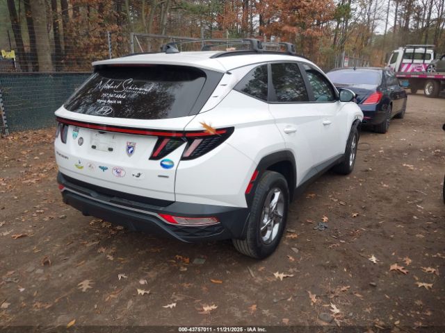 2023 HYUNDAI TUCSON 5NMJBCAE3PH263071 Photo 3
