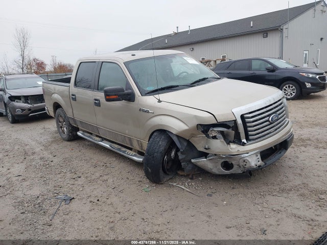 2010 FORD F-150 1FTFW1EV7AFD75790