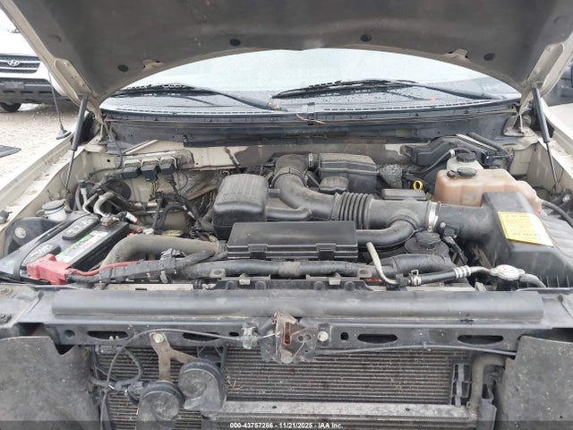 2010 FORD F-150 1FTFW1EV7AFD75790 Photo 9