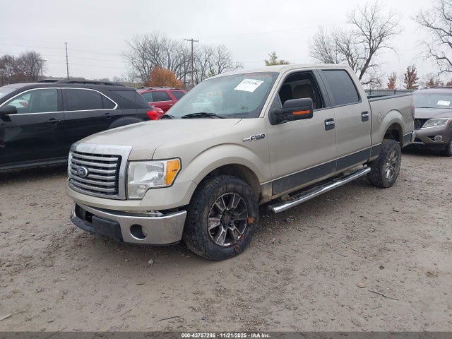 2010 FORD F-150 1FTFW1EV7AFD75790 Photo 1