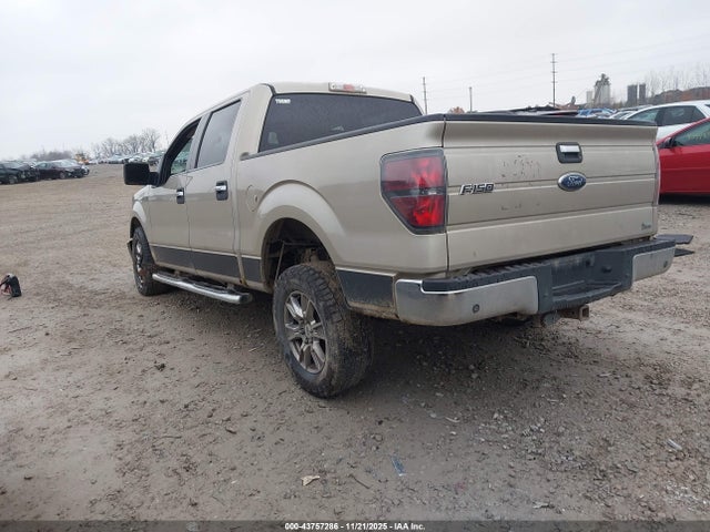 2010 FORD F-150 1FTFW1EV7AFD75790 Photo 2