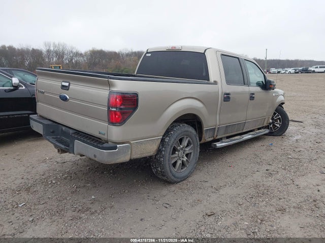 2010 FORD F-150 1FTFW1EV7AFD75790 Photo 3
