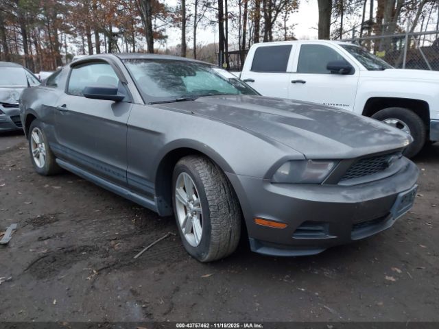2010 FORD MUSTANG 1ZVBP8AN7A5170998
