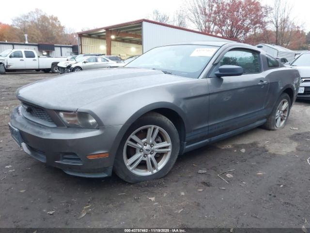 2010 FORD MUSTANG 1ZVBP8AN7A5170998 Photo 1