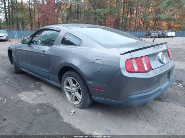 2010 FORD MUSTANG 1ZVBP8AN7A5170998 Photo 2