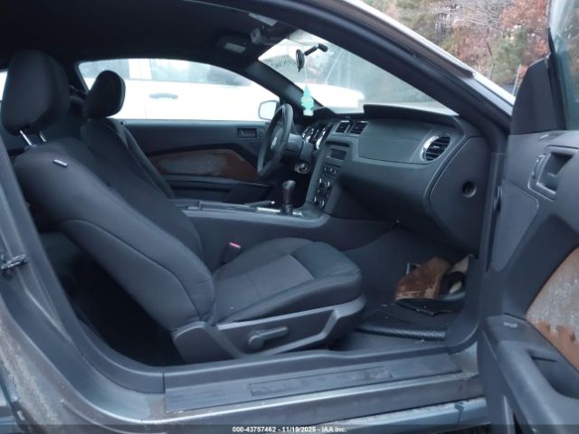 2010 FORD MUSTANG 1ZVBP8AN7A5170998 Photo 4