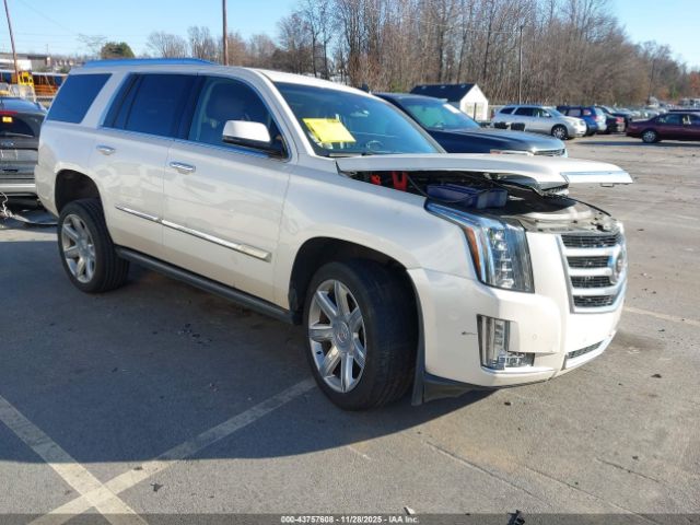 2015 CADILLAC ESCALADE 1GYS4CKJ0FR259252