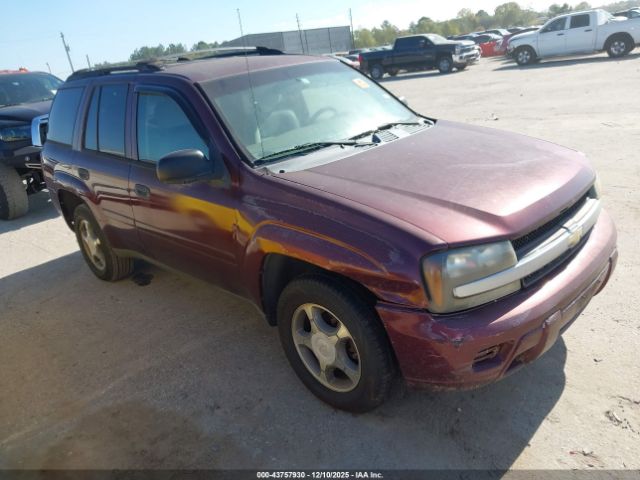 2007 CHEVROLET TRAILBLAZER 1GNDS13S572181830