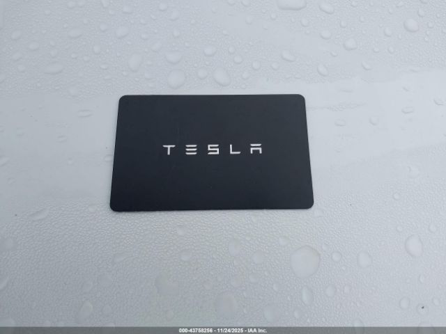 2024 TESLA MODEL 3 5YJ3E1EA9RF801868 Photo 10