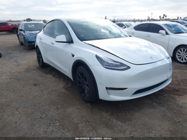 2021 TESLA MODEL Y 5YJYGAEE4MF214084 Photo 0