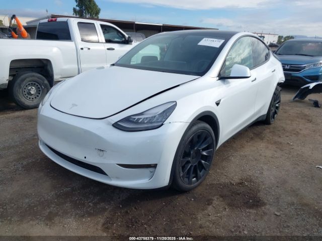 2021 TESLA MODEL Y 5YJYGAEE4MF214084 Photo 1