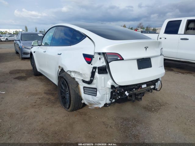 2021 TESLA MODEL Y 5YJYGAEE4MF214084 Photo 2